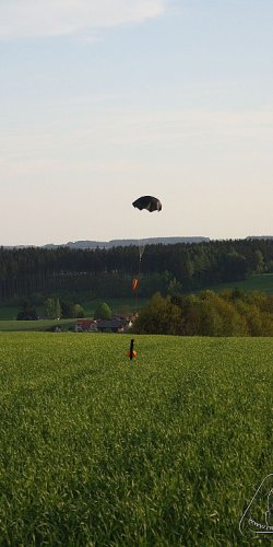 2012 Svojek mirek patek